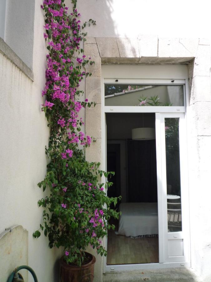 Appartement Avignon Centre Intra Muros Cour Exterieure Parking Prive Gratuit Extérieur photo